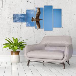 Obraz letiaceho vtáka (Obraz 110x60cm)