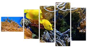 Podmorský svet - obraz (Obraz 110x60cm)