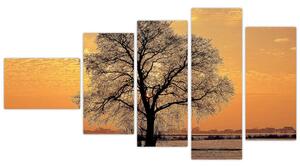 Obraz sa stromom (Obraz 110x60cm)