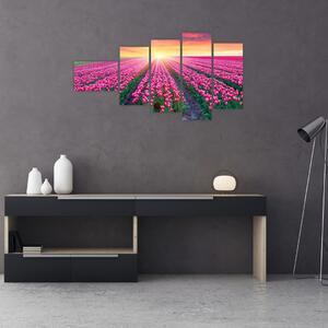 Obraz - polia kvetov (Obraz 110x60cm)