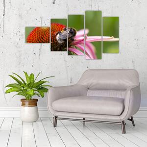 Obraz včely na kvete (Obraz 110x60cm)