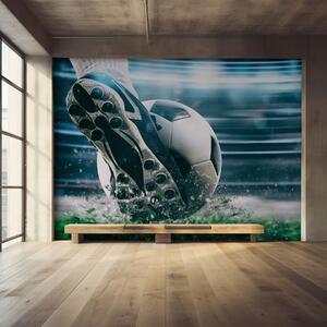 Tapety Futbal, Detské fototapety, u98534 : Uwalls.sk
