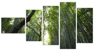 Obraz lesov (Obraz 110x60cm)