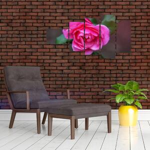 Obraz ruže na stenu (Obraz 110x60cm)