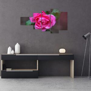 Obraz ruže na stenu (Obraz 110x60cm)