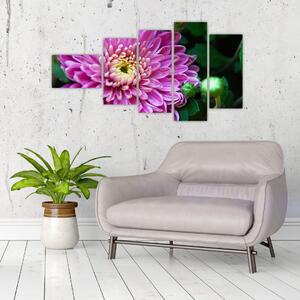 Obraz kvetu na stenu (Obraz 110x60cm)