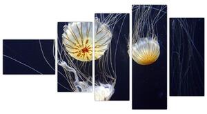 Obraz - medúzy (Obraz 110x60cm)