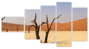 Obraz púšte (Obraz 110x60cm)