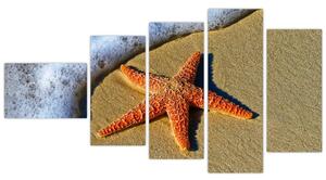 Obraz s morskou hviezdou (Obraz 110x60cm)