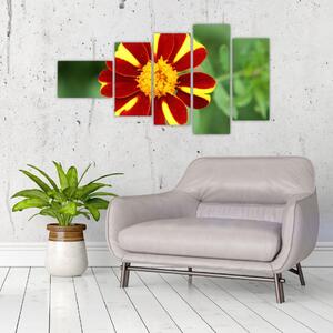 Obraz kvety na stenu (Obraz 110x60cm)