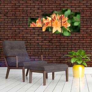 Oranžové kvety (Obraz 110x60cm)