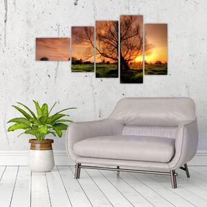 Západ slnka, obrazy (Obraz 110x60cm)