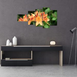 Oranžové kvety (Obraz 110x60cm)