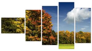 Jesenná krajina, obraz (Obraz 110x60cm)