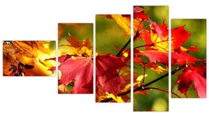 Jesenné lístie, obraz (Obraz 110x60cm)