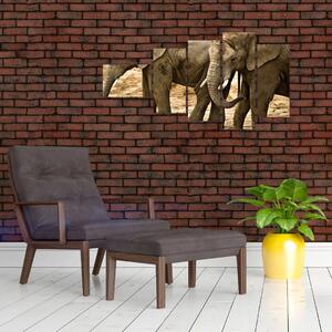 Slon, obraz (Obraz 110x60cm)