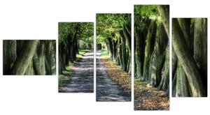 Údolie stromov, obrazy (Obraz 110x60cm)