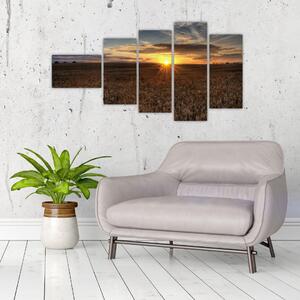 Západ slnka na poli - obraz na stenu (Obraz 110x60cm)