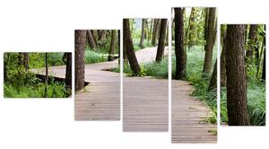 Cesta v lese - obraz (Obraz 110x60cm)