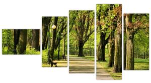 Cesta v parku - obraz (Obraz 110x60cm)