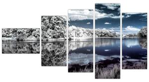 Zimná krajina - obraz (Obraz 110x60cm)