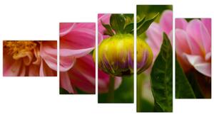 Obraz kvetu rastliny (Obraz 110x60cm)