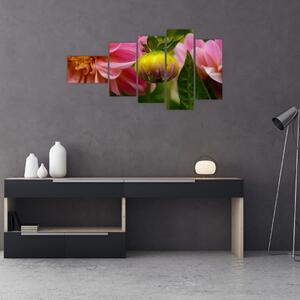Obraz kvetu rastliny (Obraz 110x60cm)