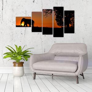 Obraz slona v prírode (Obraz 110x60cm)