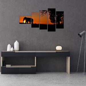 Obraz slona v prírode (Obraz 110x60cm)
