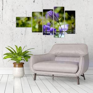 Modrá kvetina - obraz (Obraz 110x60cm)