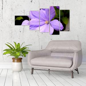 Obraz kvetu (Obraz 110x60cm)