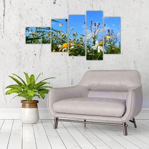 Obraz lúčnych kvetov (Obraz 110x60cm)