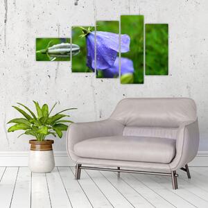Obrazy kvetiny (Obraz 110x60cm)