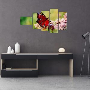 Motýľ - obraz (Obraz 110x60cm)