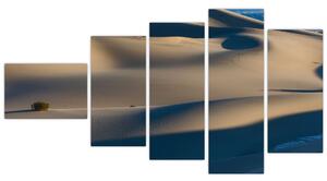 Púšť - obraz (Obraz 110x60cm)