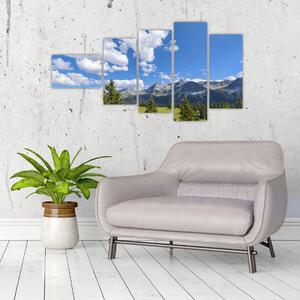 Fotka hôr - obraz (Obraz 110x60cm)
