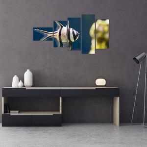Ryba - obraz (Obraz 110x60cm)