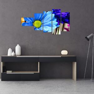 Modrá chryzantéma - obrazy (Obraz 110x60cm)
