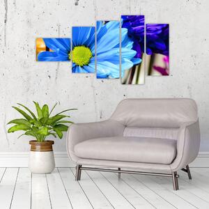 Modrá chryzantéma - obrazy (Obraz 110x60cm)