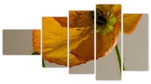Žltý kvet - obraz (Obraz 110x60cm)
