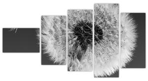 Odkvitnutá púpava - obraz kvetín (Obraz 110x60cm)