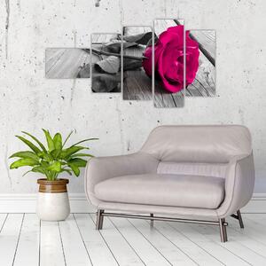 Ruže fialová - obraz (Obraz 110x60cm)