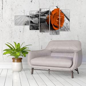 Ruže oranžová - obraz (Obraz 110x60cm)