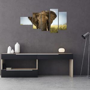 Slon - obraz (Obraz 110x60cm)