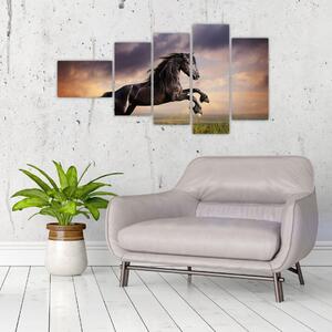 Kôň - obraz (Obraz 110x60cm)