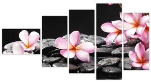 Kvety - obraz (Obraz 110x60cm)