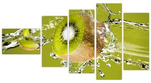 Kiwi - obraz (Obraz 110x60cm)