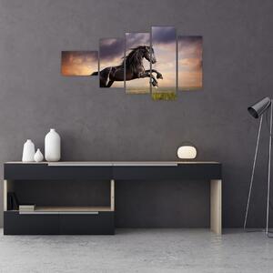 Kôň - obraz (Obraz 110x60cm)