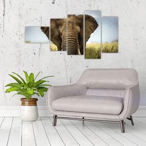 Slon - obraz (Obraz 110x60cm)