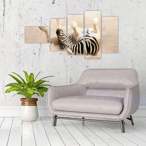Obraz zebry (Obraz 110x60cm)